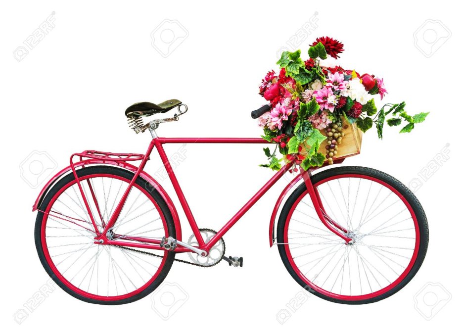 Велосипед с корзиной цветов белом фоне