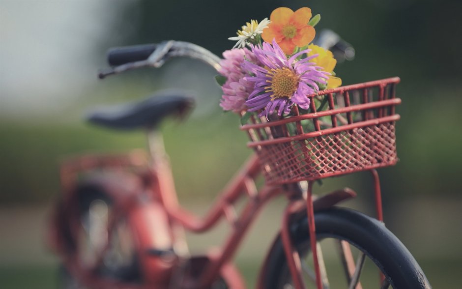Велосипед цветы