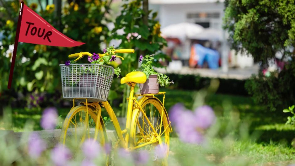 Велосипедист с цветами