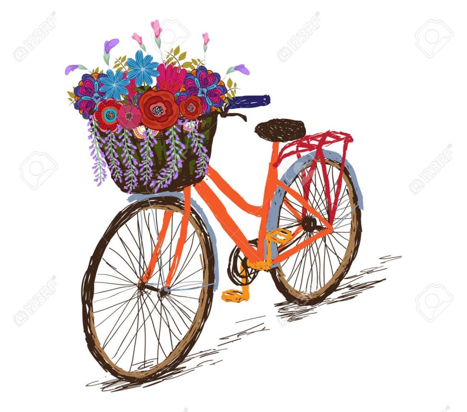 Велосипед с корзиной цветов вектор