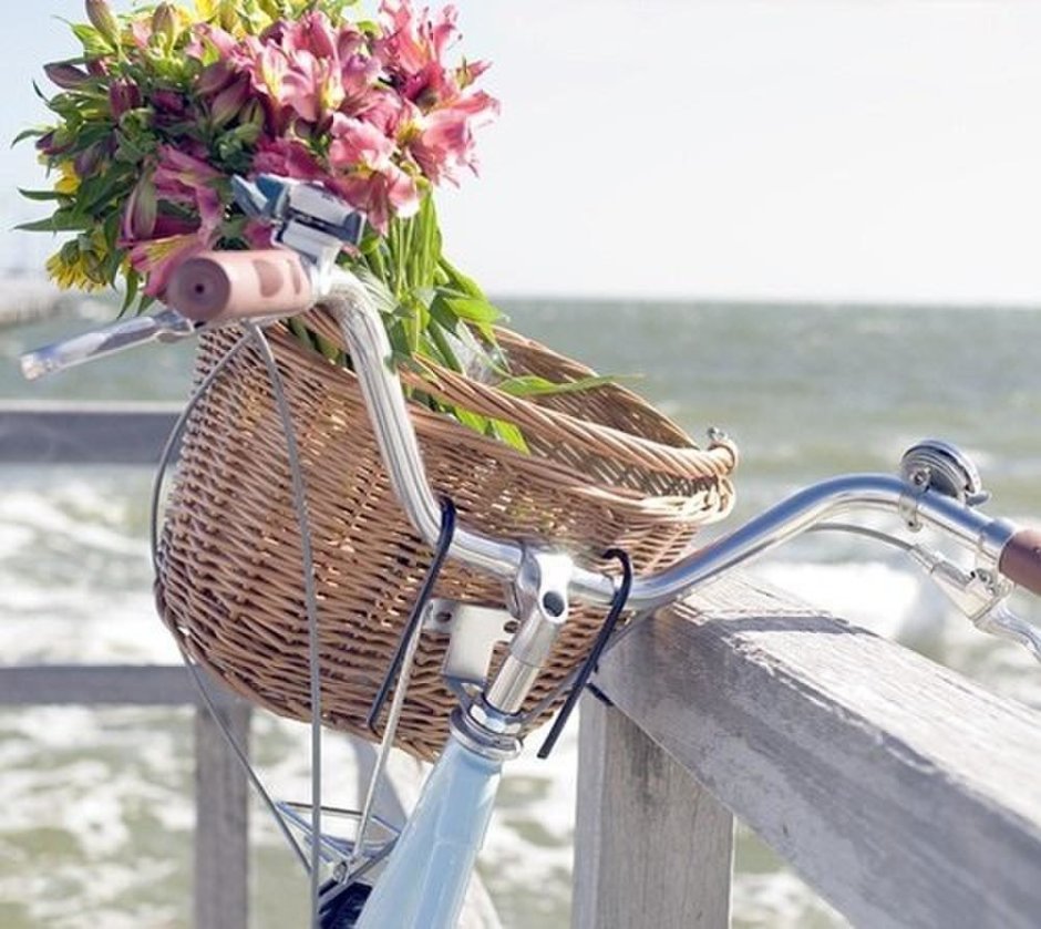 Велосипед цветы море