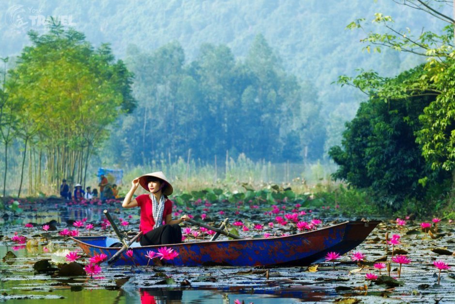 Лотосовое озеро Вьетнам