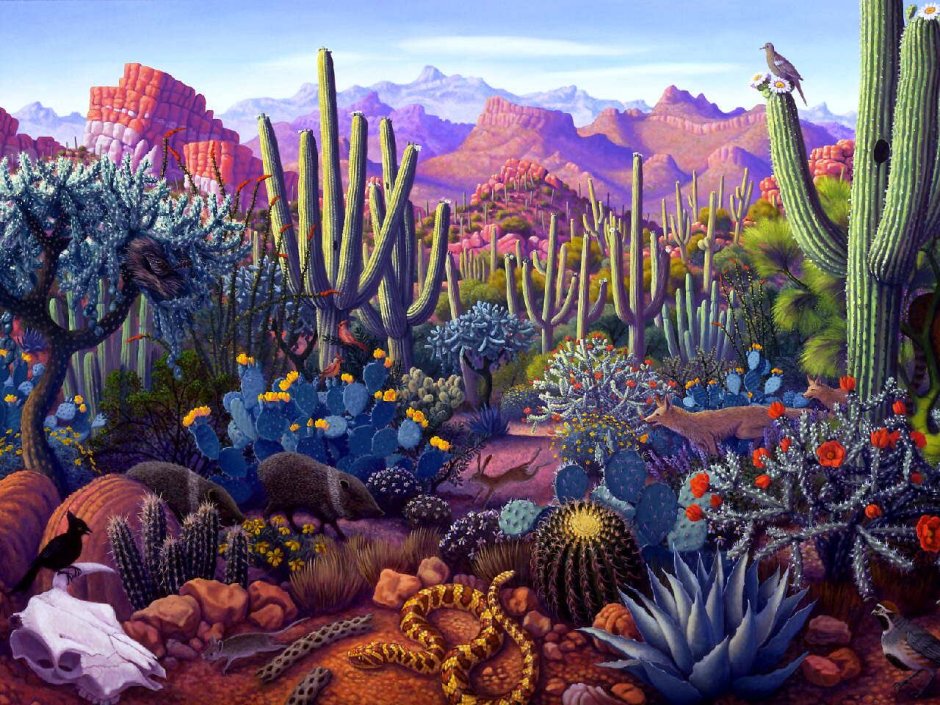 Мексика картины Stephen Morath