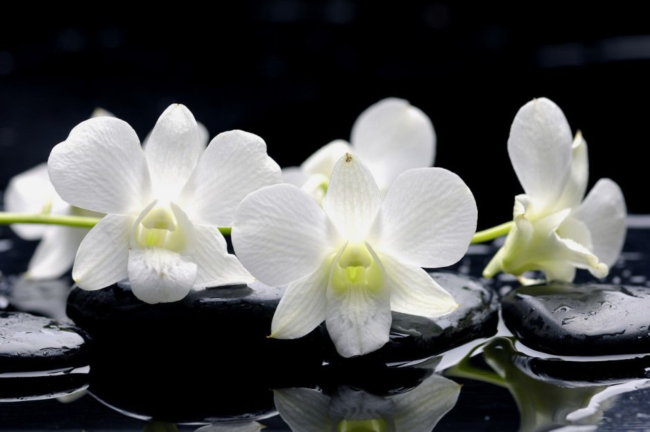 Стол Орхидея
