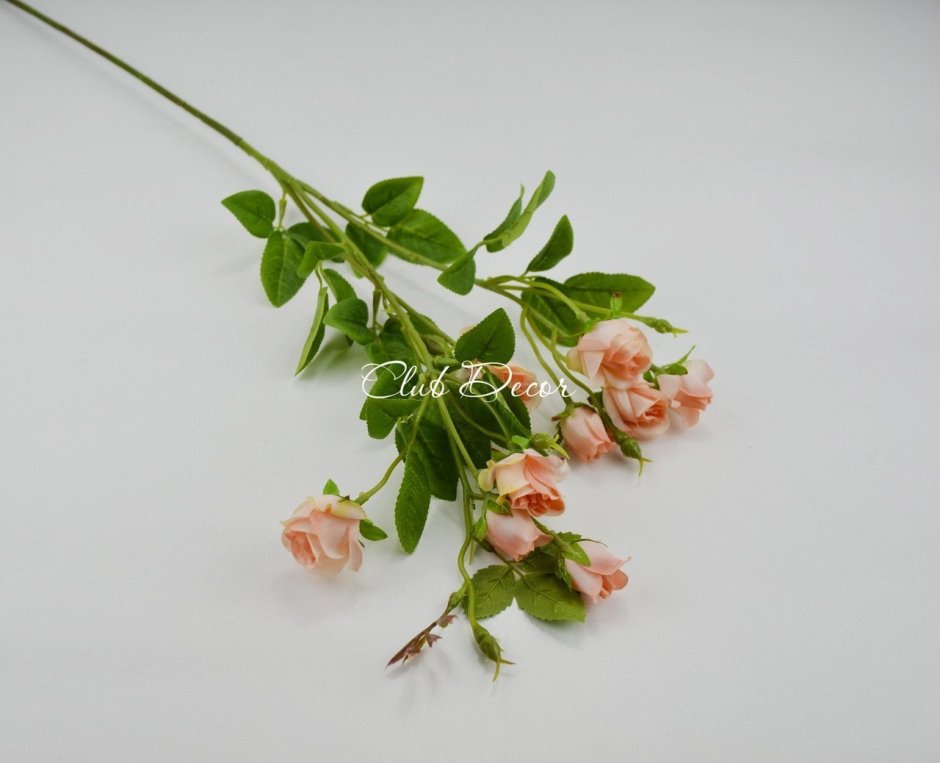 Белые кустовые розы в вазе