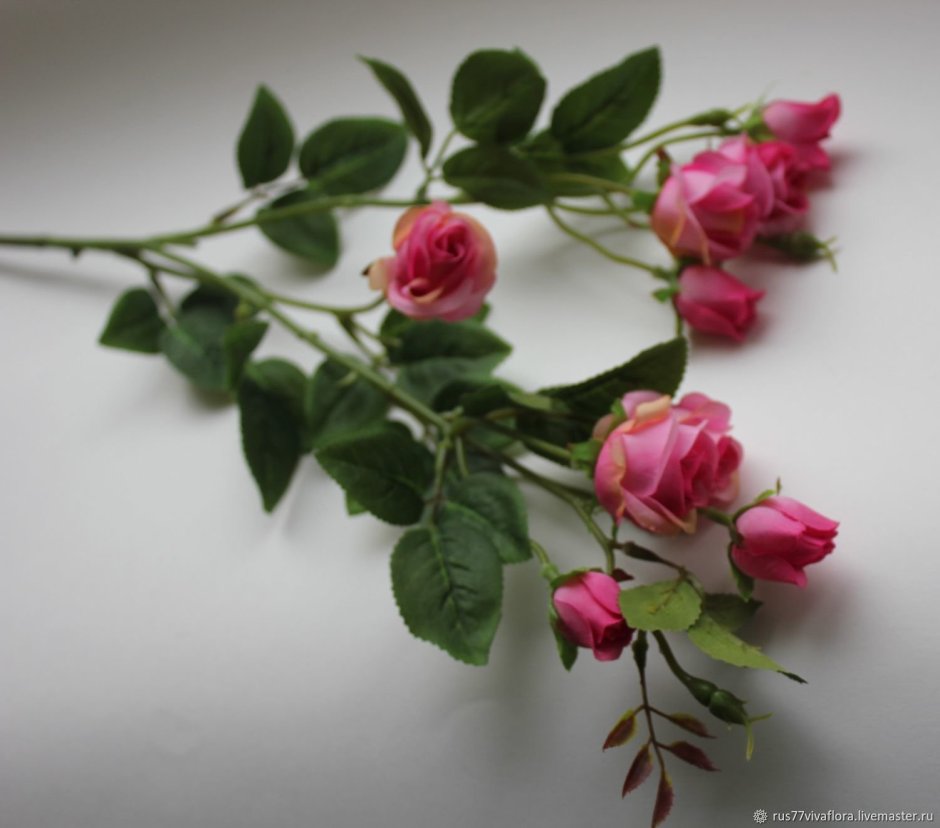 Кустовая роза 1 ветка