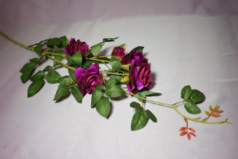 Пионовидная кустовая роза Джульетта 1 ветка