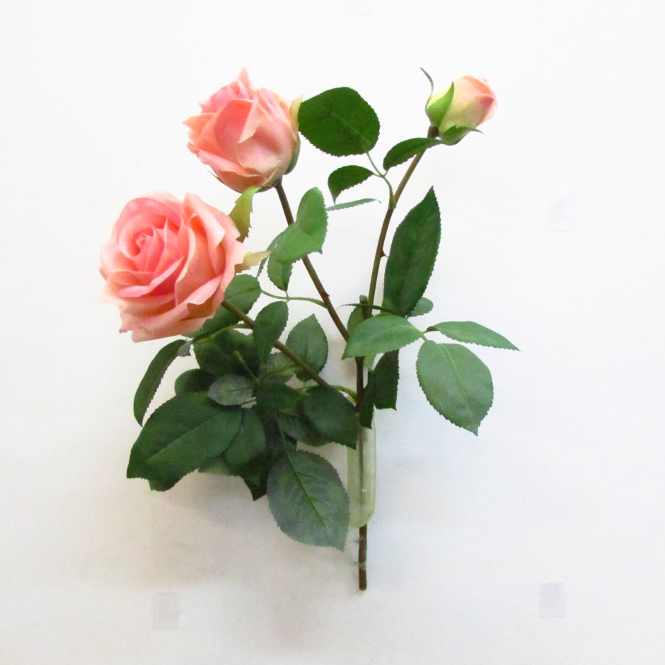 Веточка мелкой кустовой розы