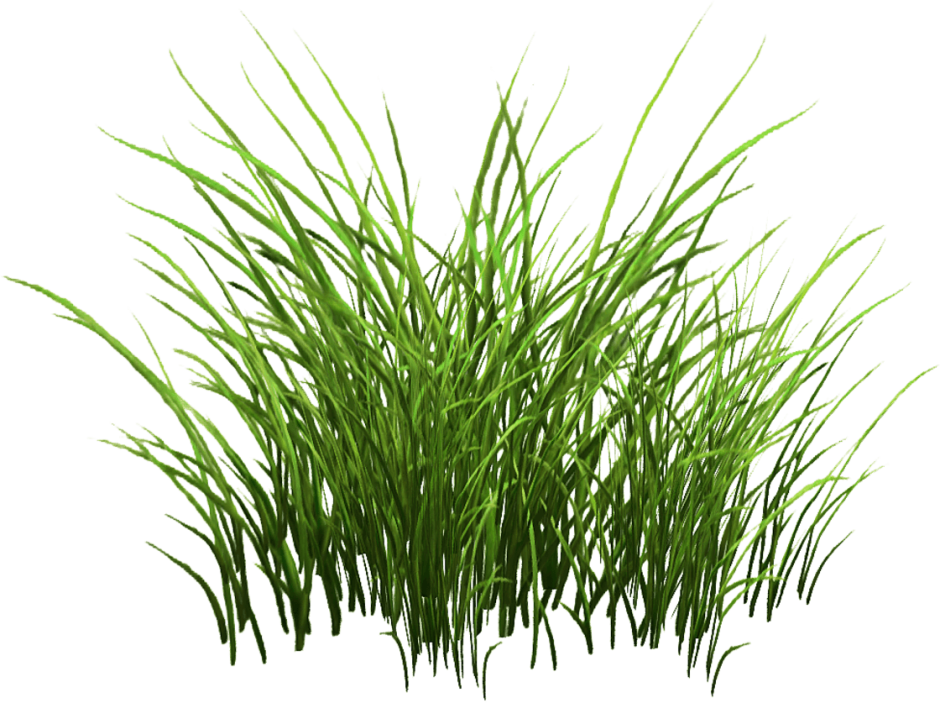 Кусок травы