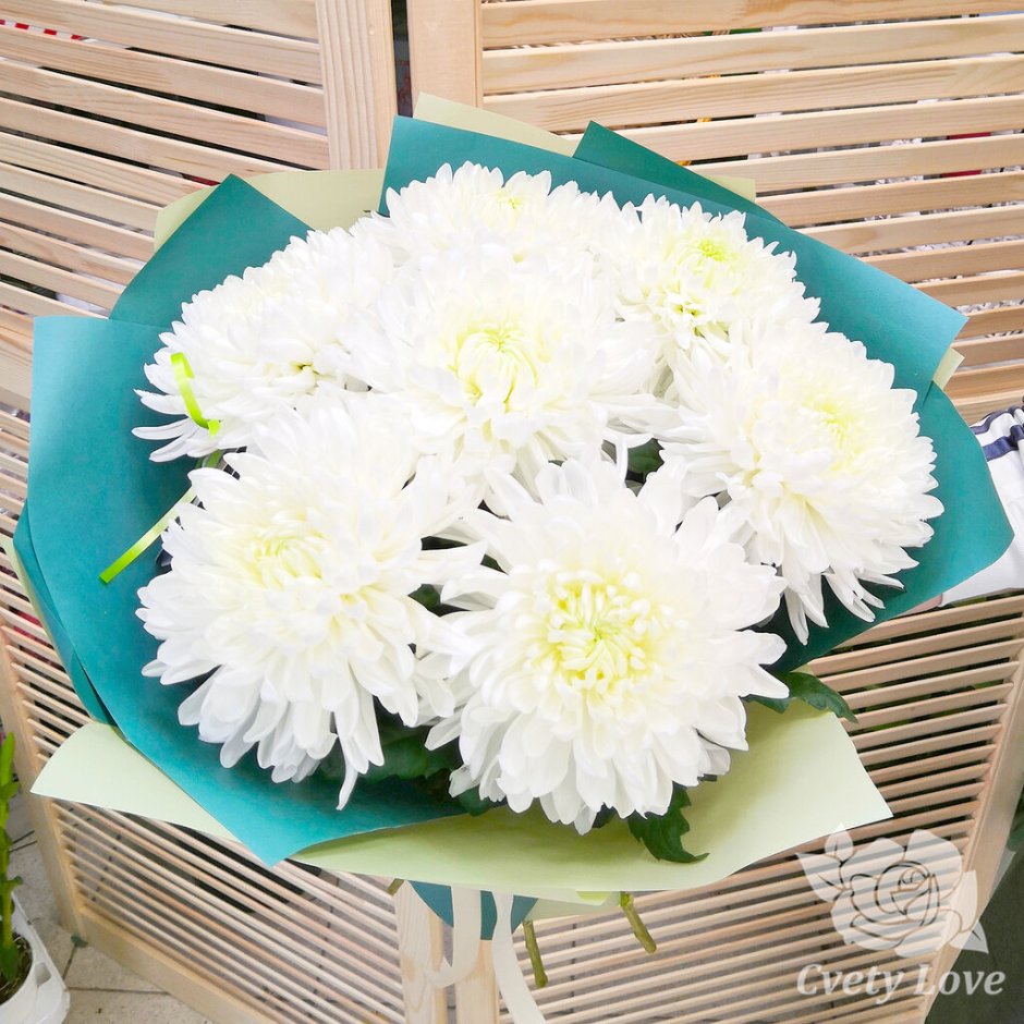 7 Белых одноголовых хризантем букет