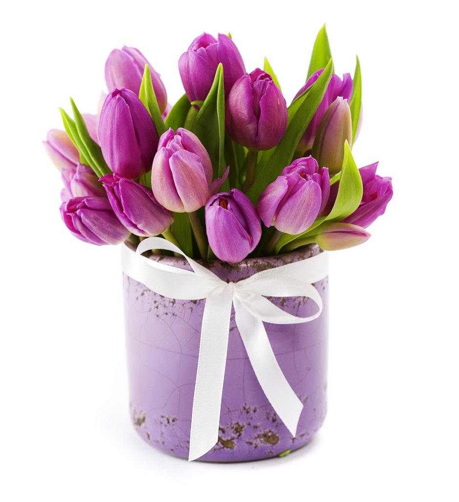 С 8 марта фиолетовые тюльпаны