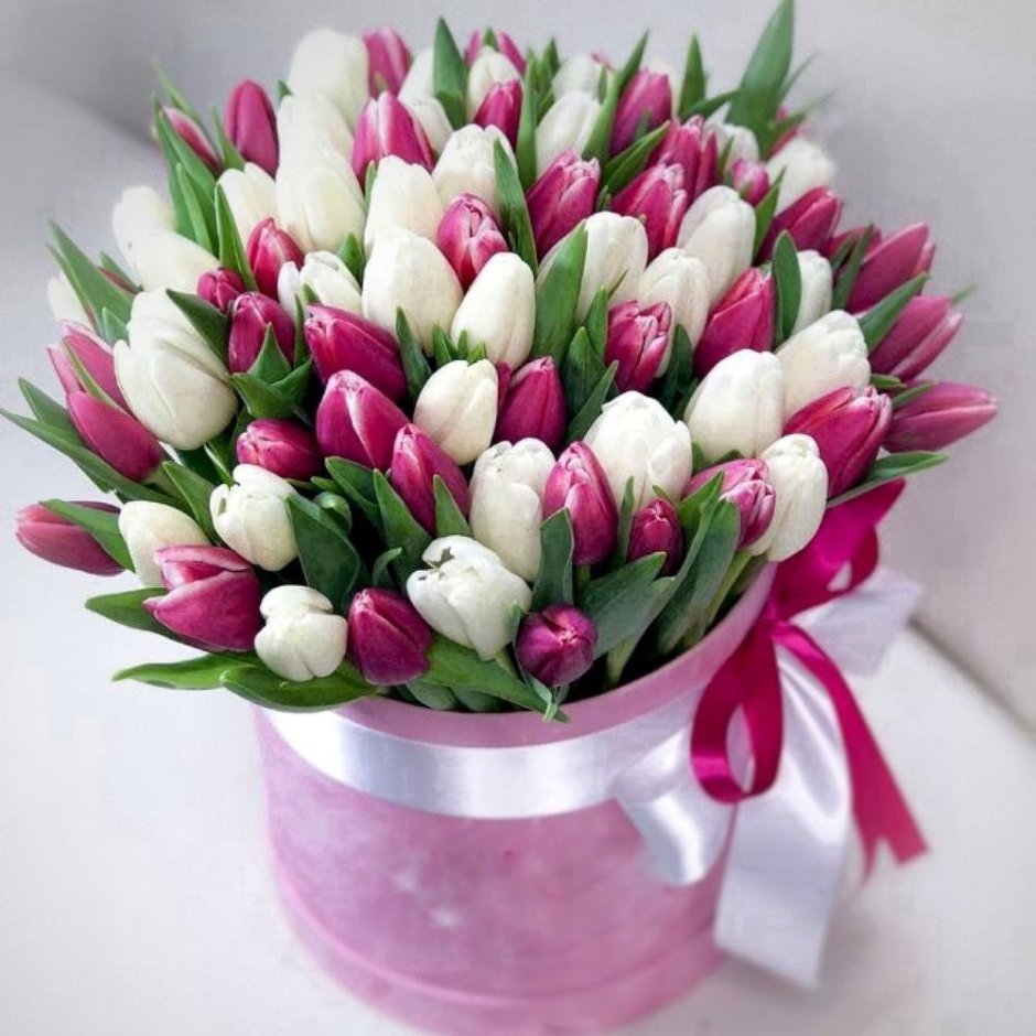 Цветы стильные тюльпаны
