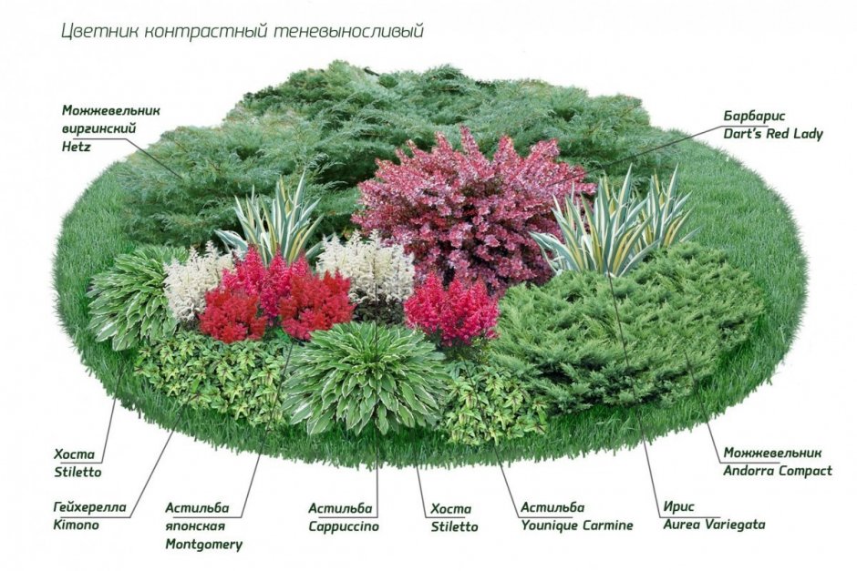 Клумбы миксбордеры непрерывного цветения