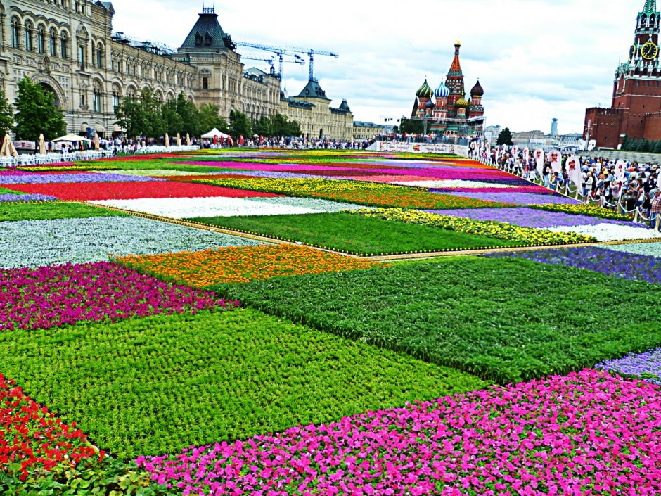 Клумбы на красной площади в Москве