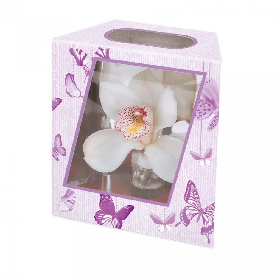 Орхидея в коробочке
