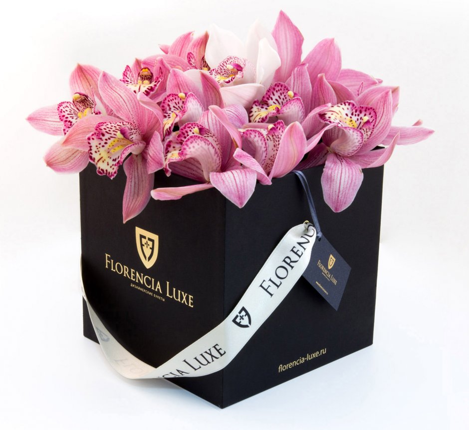 Орхидея в коробочке