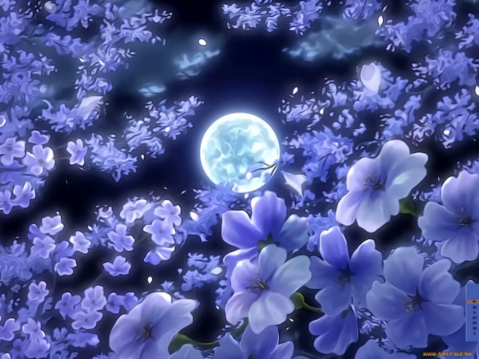 Красивые ночные цветы
