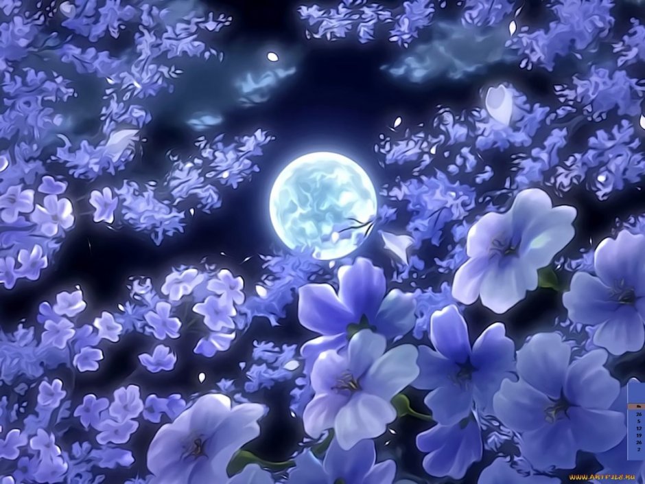 Ночные цветы в воде рисунки на