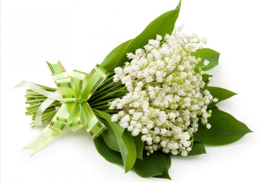 Lily of the Valley Марсель