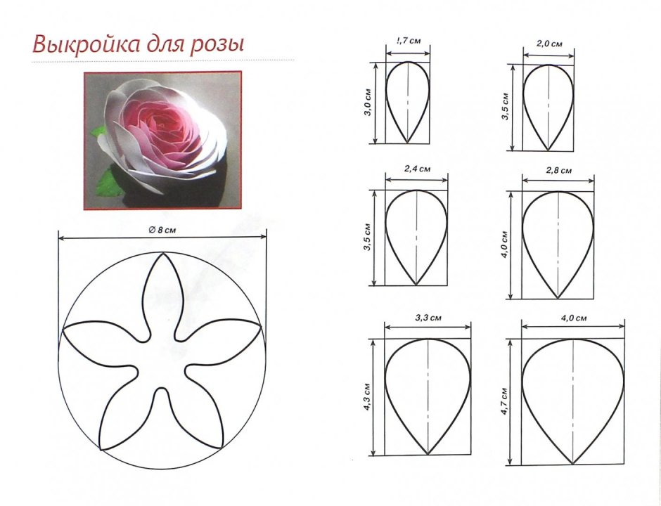 Выкройки цветов из фоамирана эустома