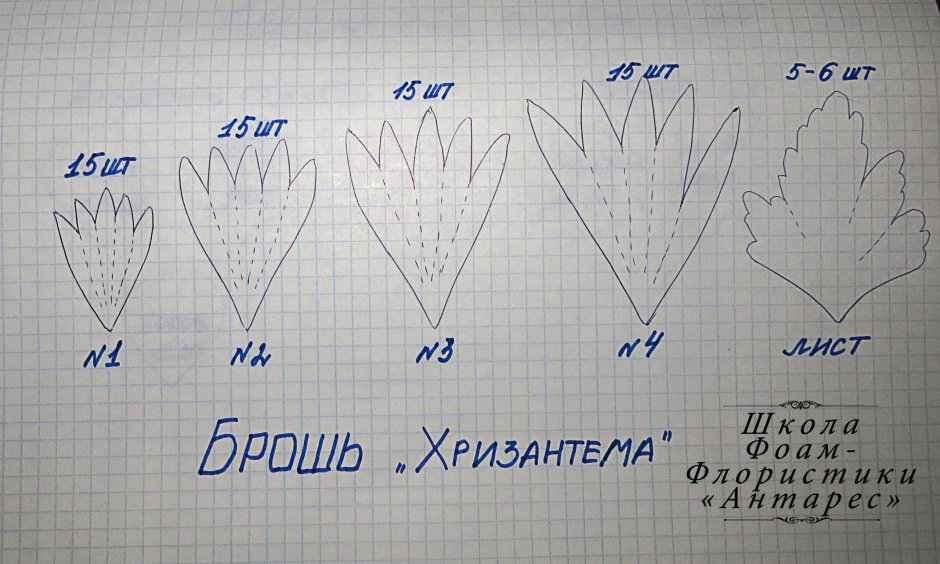 Структура лепестка