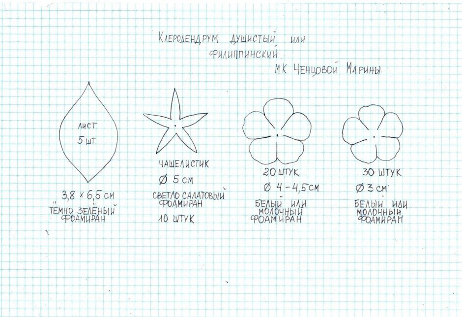 Текстура цветка лепестка