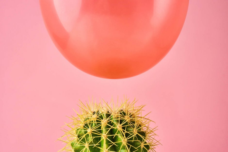 Кактус на розовом фоне с цветными шариками