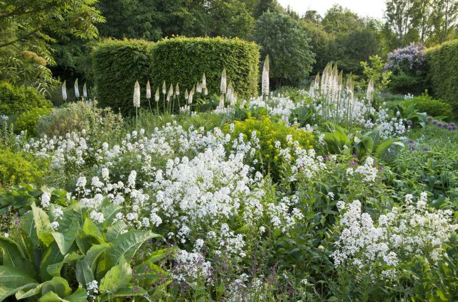 Белый сад Вест Гарден