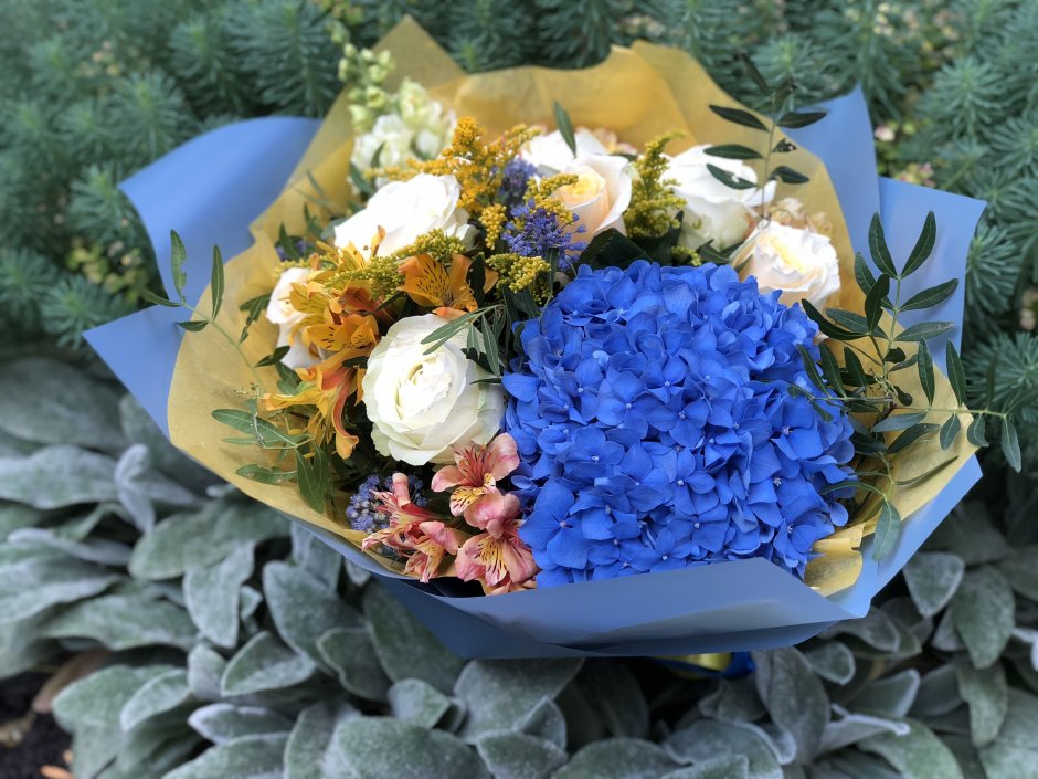 Синие цветы гортензия букет