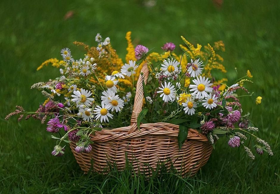 Корзинка с ромашками