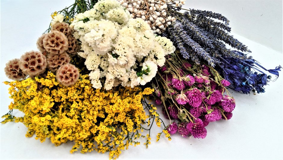 Dried Flowers сухоцветы