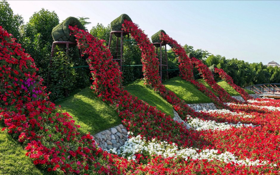 Dubai Miracle Garden амфитеатр