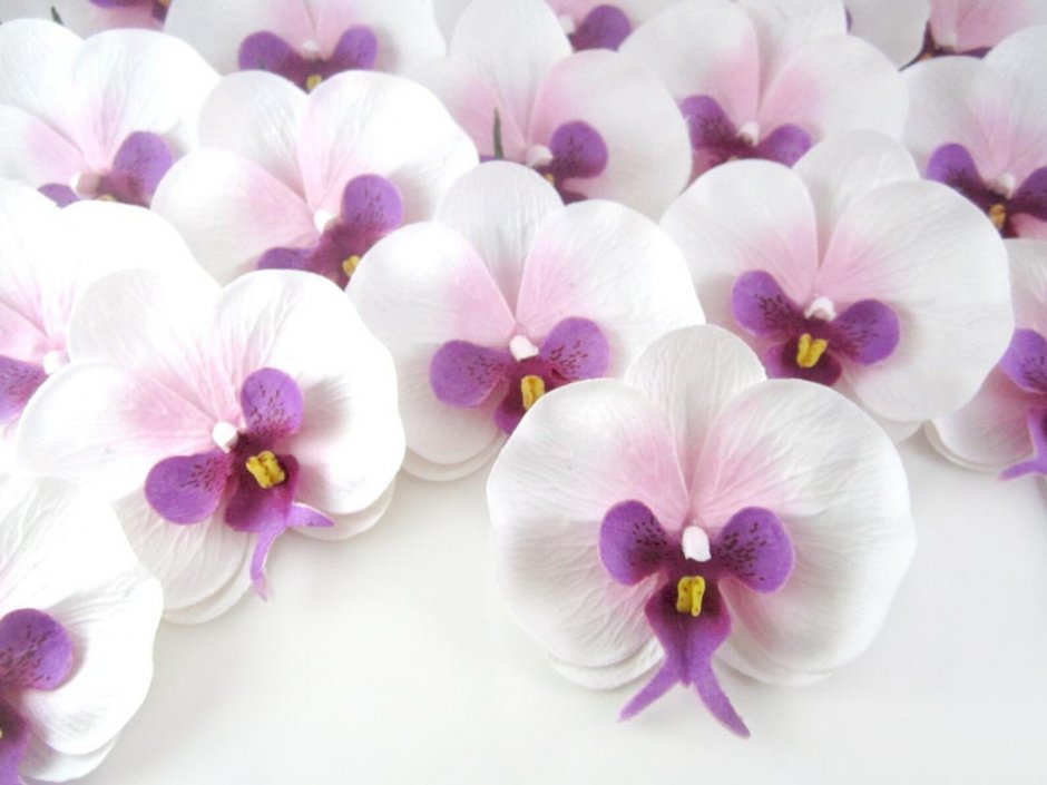 Орхидеи для невесты "Стрекоза"