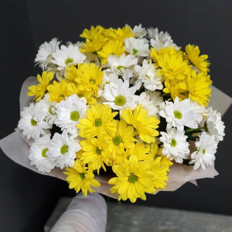 Хризантема t Baltica Yellow кустовая 70 см