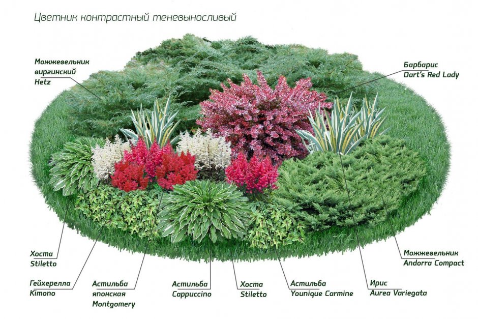 Миксбордер непрерывного цветения многолетников