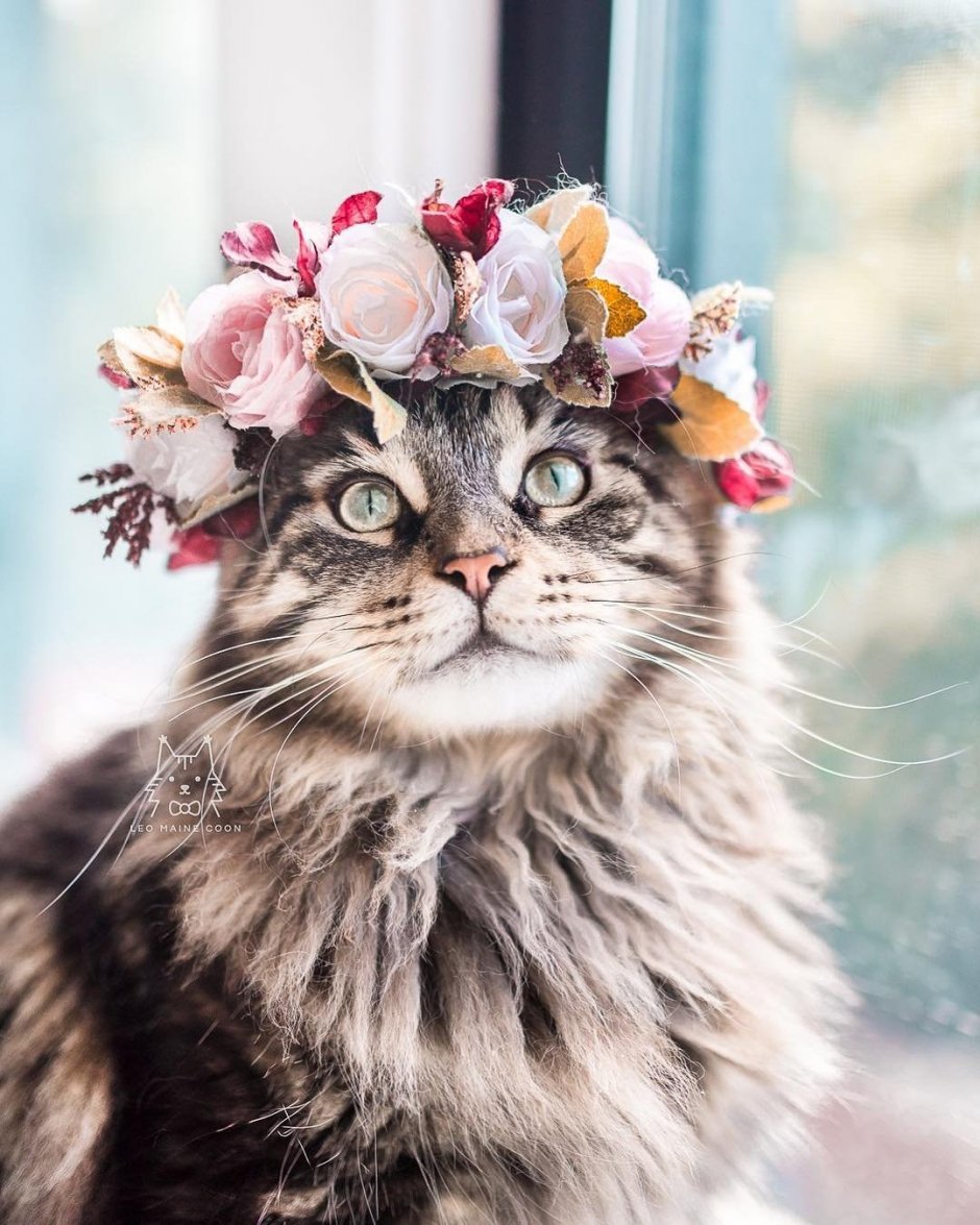 Котенок с цветочком