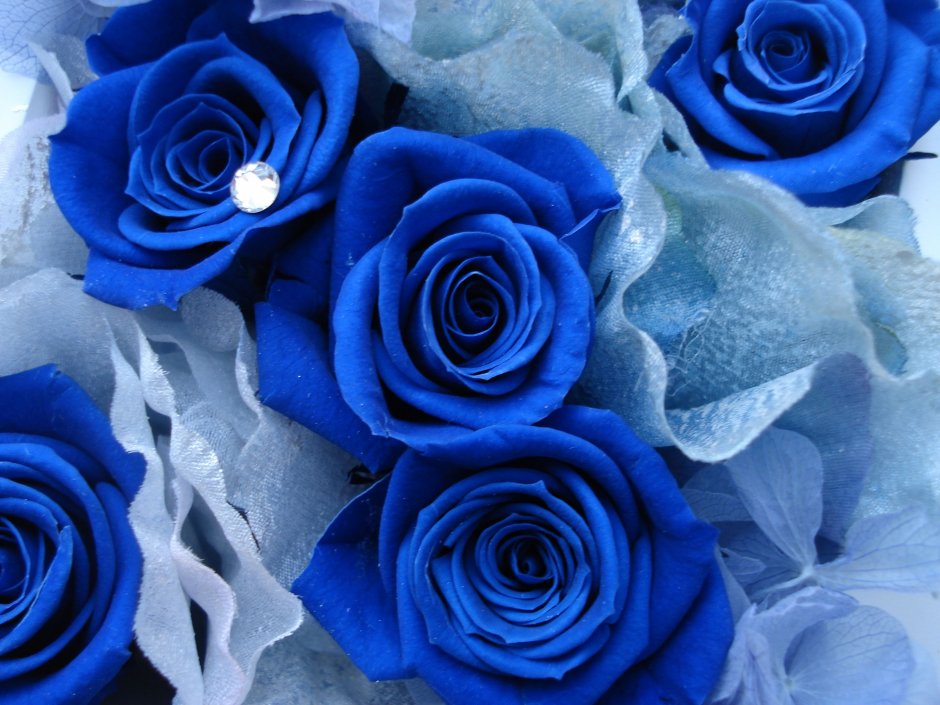 Цветы синие с голубым белом
