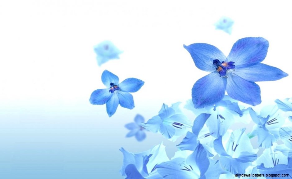 The Blue Flower