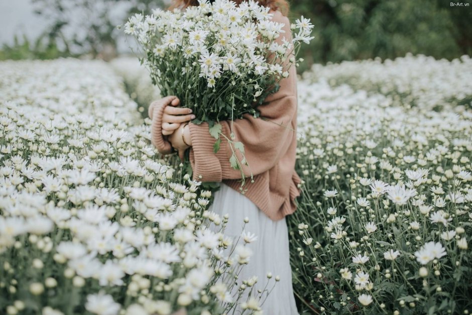 Девушка держит в руках полевые цветы