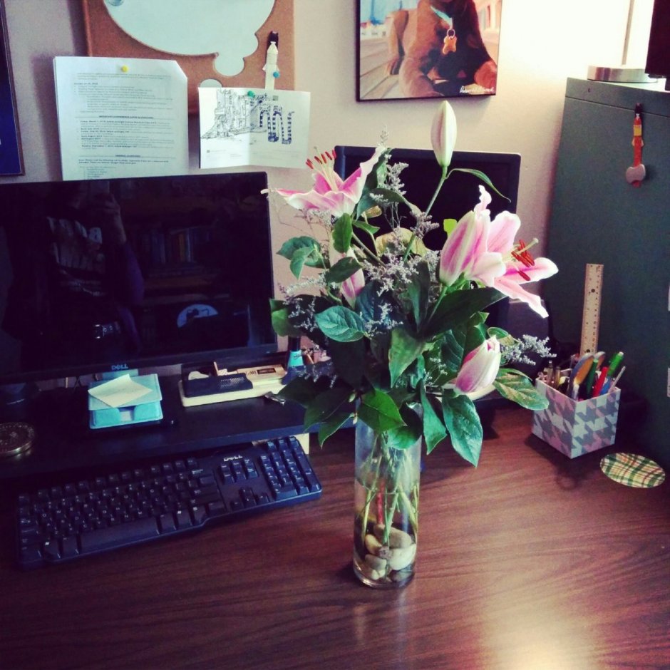 Цветы в офисе на столе