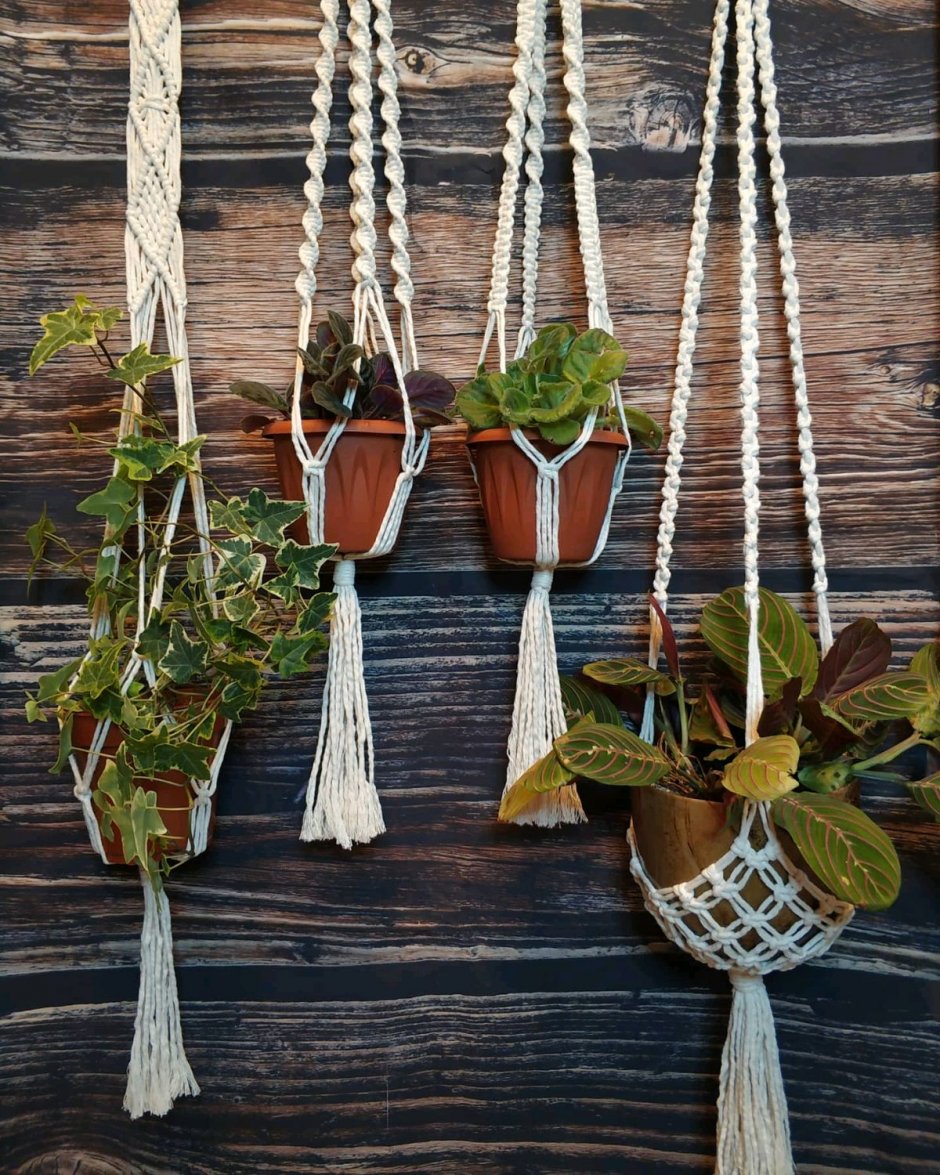 Macrame Plant Hanger