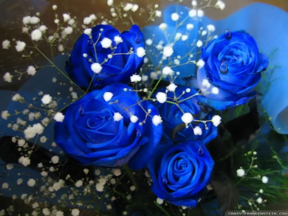 Букет цветов на синем фоне