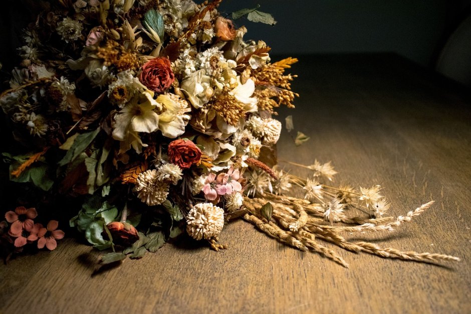 Dried Flowers сухоцветы