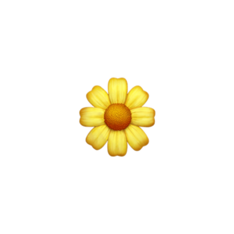 Постер желтые цветы