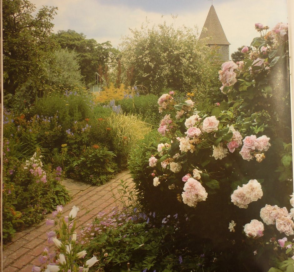 Эстетика красный зелёный Викторианский сад роз