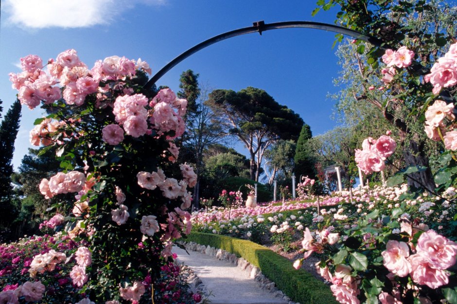 Портленд Орегон розовый сад