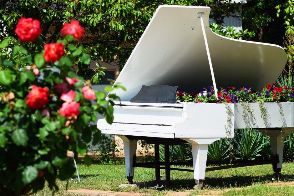 Пианино в саду