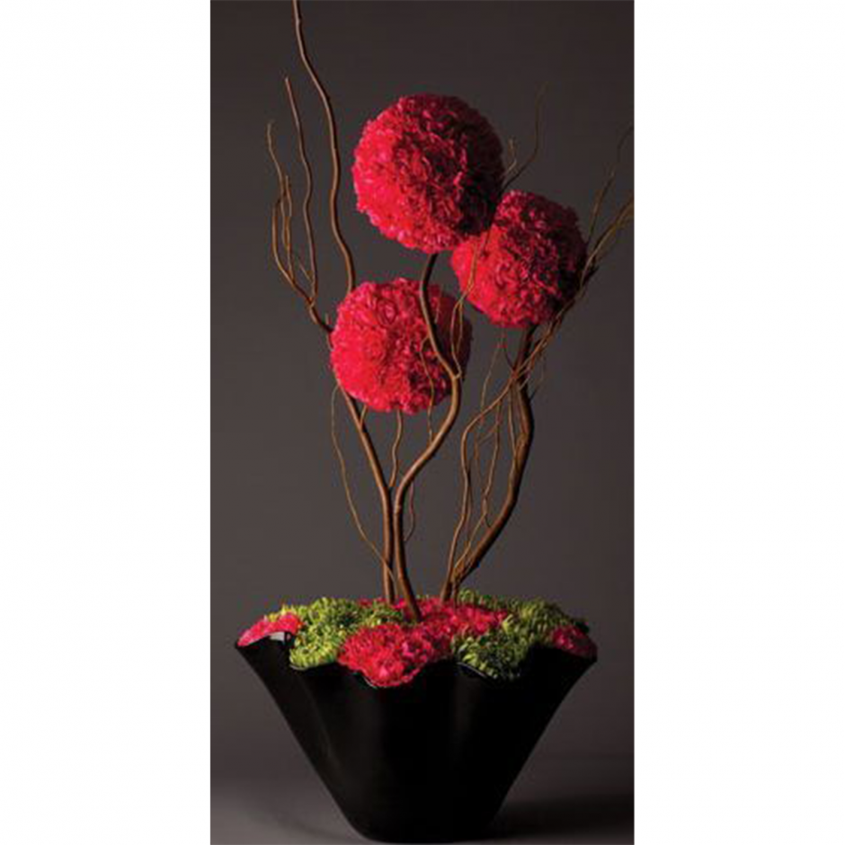 Гвоздика Ikebana