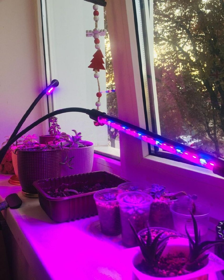 шкаф для растений с подсветкой
