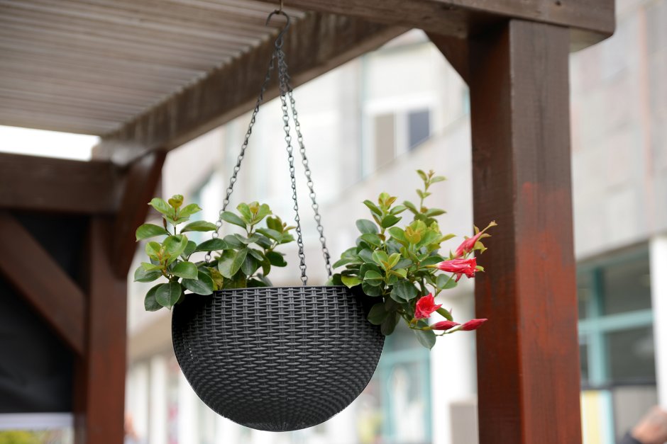 Keter Hanging Sphere Planter